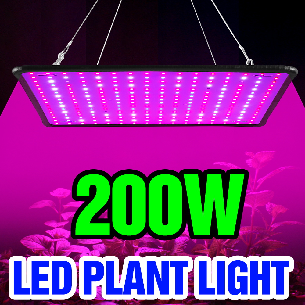Grow Tent Complete Kit - Светодиодная лампа для растений Quantum Board